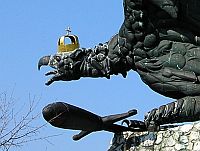 szegény tutul, há'turul